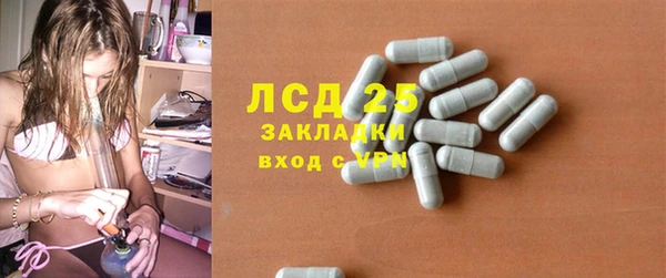 прущие грибы Балабаново