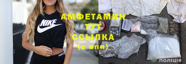 прущие грибы Балабаново