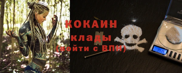 PSILOCYBIN Балахна