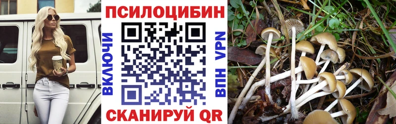 МЕГА ONION  Бежецк  Галлюциногенные грибы мицелий  купить  